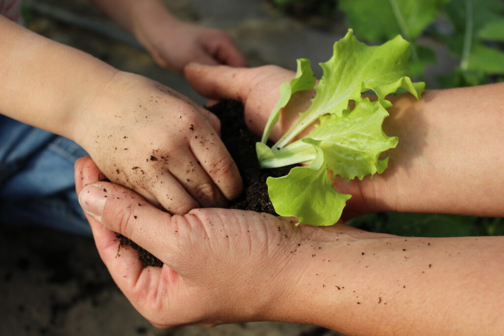 Des légumes pour toute la famille